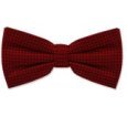 Burgundy Bowtie