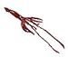 Safari: Giant Squid