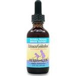 Herbs for Kids Echinacea/GoldenRoot Herbal Supplement Drops 2 fl oz (59 ml)