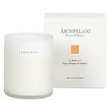 Archipelago Botanicals Excursion Collection Soy Wax Candle Lanai 11QY2SyynfL. SL160 Archipelago Botanicals Excursion Collection Soy Wax Candle Lanai