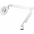 Slimline Magnifying Lamp - White