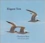 Elegant Tern