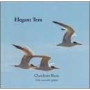 Elegant Tern by Clarelynn Rose