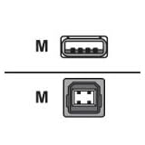 APC - USB cable - 4 PIN USB Type A (M) - 4 PIN USB Type B (M) - 1.8 m