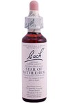 Bach Flower Remedies Star Of Bethlehem (20 ml)