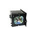 DNGO GLH-19 RPTV REPLACEMENT LAMP FOR HITACHI UX-21513 / LM500 REAR PROJECTION TV