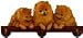   - Pomeranian Calendar Caddy2008