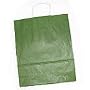 25 Ct. Handled Gift Bags~Large