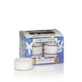 Midnight Jasmine Set of 12 Tealights