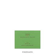 Apple Green Calling Card Business Cards