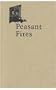 Peasant Fires: The Drummer of Niklashausen