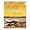 EAS - Zone PERFECT BARS - 12 - 1.76 oz (50 g) bars [1.32 lb (600 g)] - Chocolate Coconut Crunch