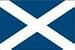 Nylon Scotland (St. Andrews Cross) flag (12 in. x 18 in.)