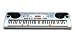 Casio LK-73 73 Note Lighted Key Digital Musical Keyboard