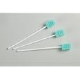 ^Dentips Disposable Oral Swabs - Treated with Dentifrice (Mint flavored) - Green - Individually Wrapped Min.Order is 1 CS ( 2 box / Case; 500 Each / Case; )