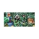 Rain Forest - Chocolate & Deep Forest Mint, 12 Units 3.2 oz by Endangered Species