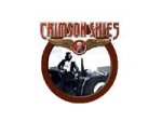 Microsoft Crimson Skies - ( v. 1.0 ) - complete package - 1 user - PC - CD - Win - German