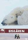 Eigenschaften   / Safari - Eisbären
