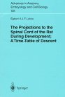 The Projections to the Spinal Cord of the Rat During Development: A Time-Table of Descent (Advances in Anatomy, Embryology and Cell Biology)