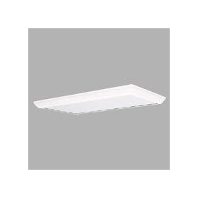 Electronic Ballast Surface Mounted White Chassis