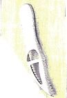 Fish Scaler