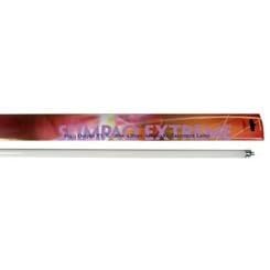 Actinic SlimPaq T5 HO - 420nm - 39W - 36 in. by CURRENT USA INC