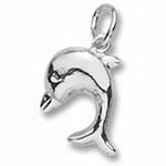 Dolphin Charm