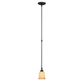 World Imports Lighting 5411-99 Saxon 1-Light Mini Pendant, Wrought Iron