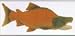 Sockeye Salmon Fish 10