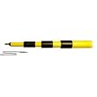 Bes TPF620 Telescoping Fiberglass Pole