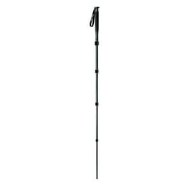 Gitzo GM3551 Series 3 6X Carbon Fiber 5-Section Monopod with G-Lock - Replaces GM3550 (Black)