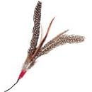 Da Bird Replacement Feathers - 2 Pack