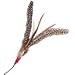 Da Bird Replacement Feathers - 2 Pack