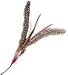 TWO PACK of Da Bird Refill Replacement Feathers Cat Toy