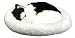 Sporting Goods : Pet Nap Sleeping Cat - Breathing Plush Black and White Cat Kitten