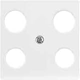 Merten Zentralplatte pws 294219