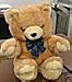 24HR SURVEILLANCE HIDDEN CAMERA TEDDY BEAR CAMERA