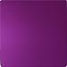 Nikola Tesla Purple Positive Energy Plate Plates - Large