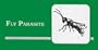 Fly Parasites
