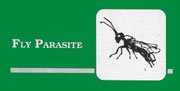 Fly Parasites