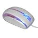 Luminescent Illuminated Glows in Dark Computer PC Mouse image 1