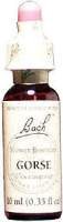 Gorse - 20 ml - Liquid