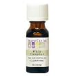 Essential Oil Camphor, White - 0.5 oz - EssOil