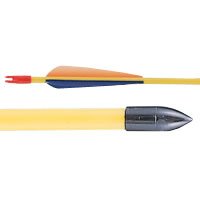 (Price price pack)Safetyglass Target Arrows 30 pack of 72 (price PAC), Fiberglass, Arrows,... by 