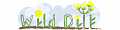 Wild Dill