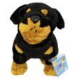 Webkinz Rottweiler with Trading Cards