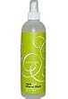 DevaCurl Mist-er Right 12 oz