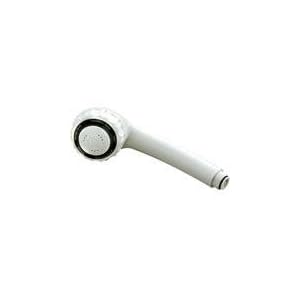 Waxman 7654900B Body Moods Hand-Held Showerhead, Chrome