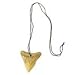 Shark Tooth Necklace