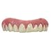 Secure Smile Cosmetic Dentures False Teeth Novelty